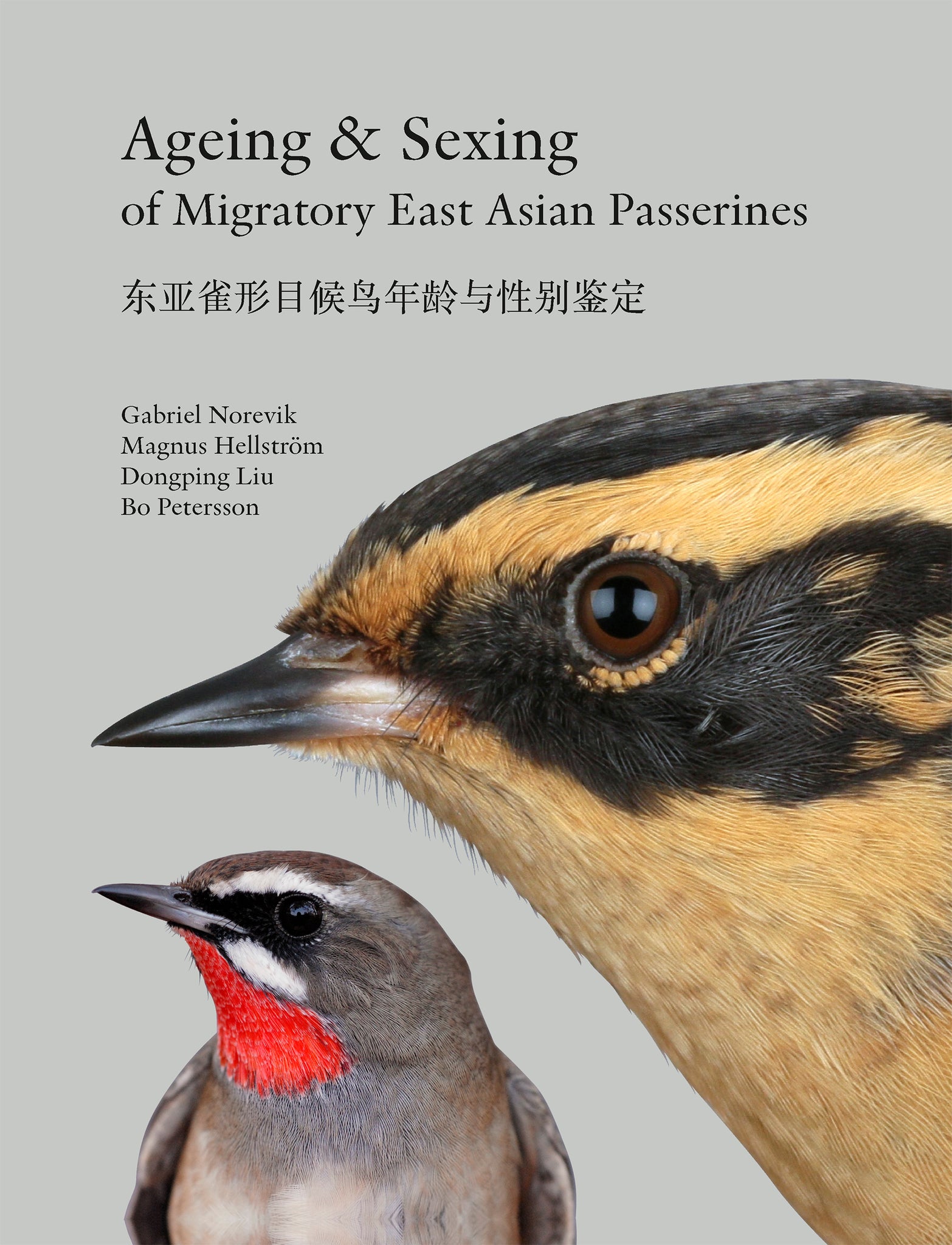 Ageing & Sexing of migratory East Asian passerines (Norevik, Hellström, Liu, Petersson, 2020)