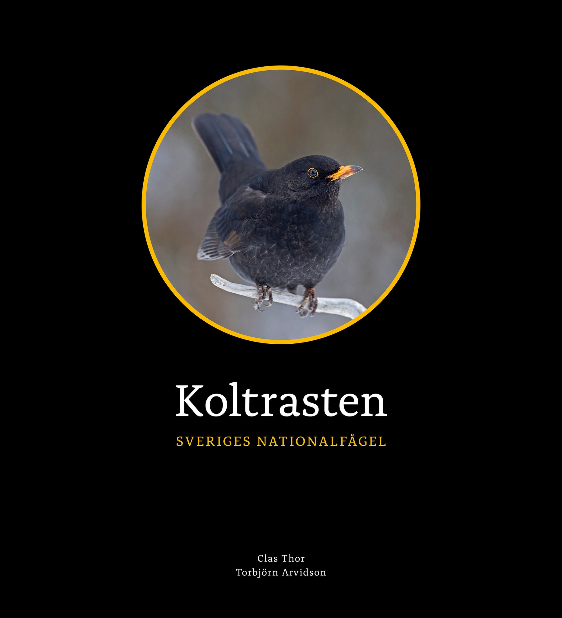 Koltrasten – Sveriges nationalfågel (Thor, 2021)