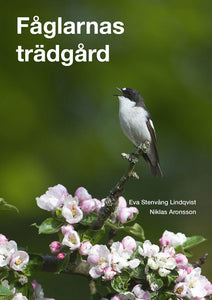 Fåglarnas trädgård (Stenvång Lindqvist & Aronsson, 2013)